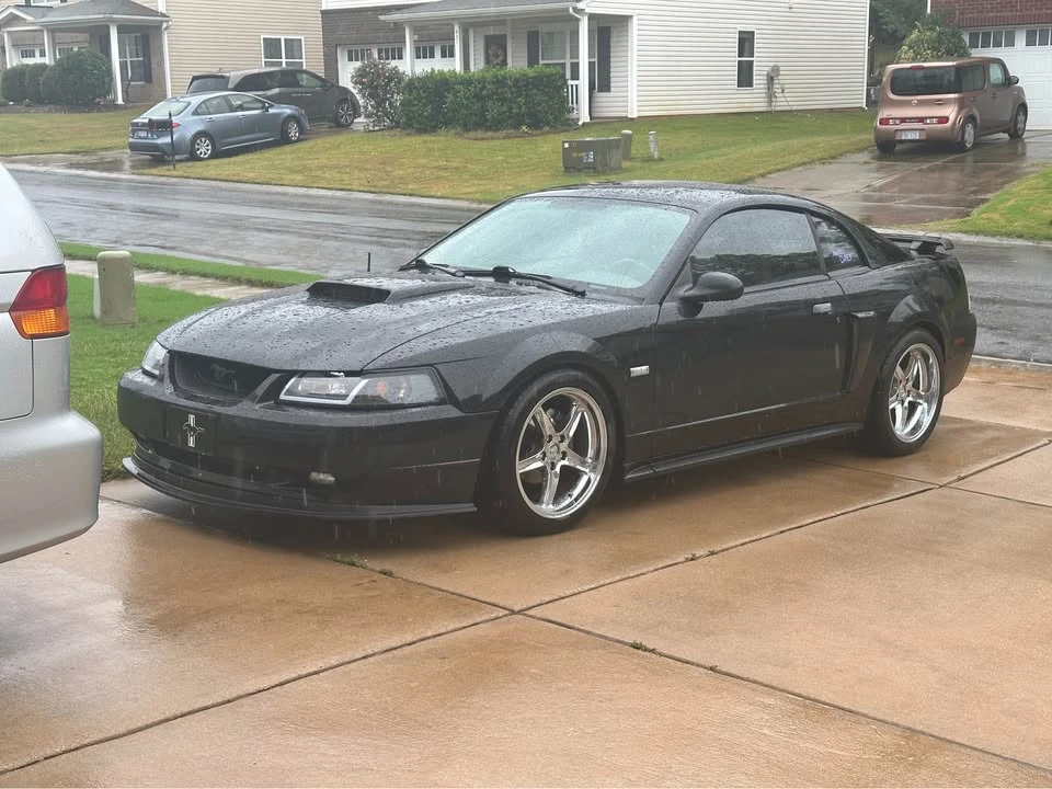 2003 Ford SN95 Mustang - Image 2 of 5