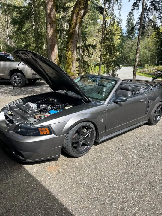 2003 Ford SN95 Mustang - Image 7 of 16