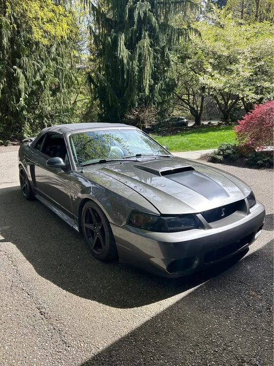2003 Ford SN95 Mustang - Image 6 of 16