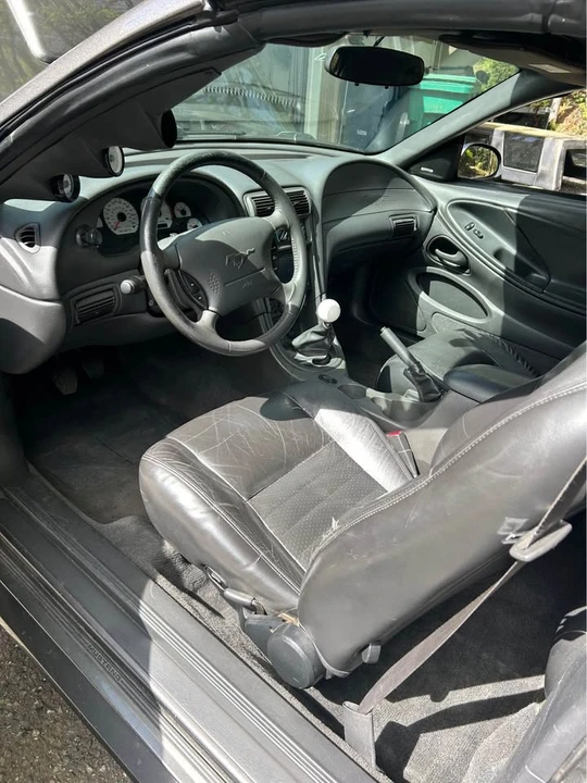 2003 Ford SN95 Mustang - Image 10 of 16