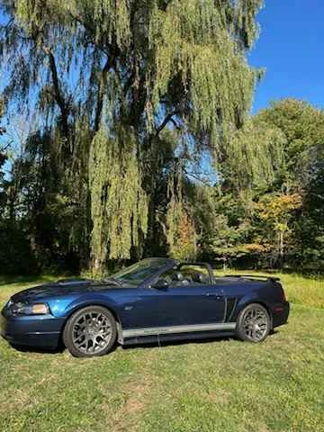 2003 Ford SN95 Mustang - Image 2 of 7