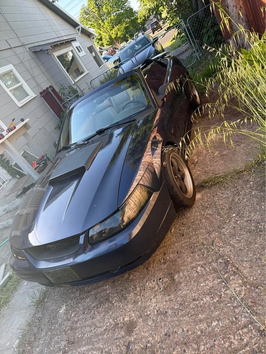 2003 Ford SN95 Mustang - Image 3 of 8
