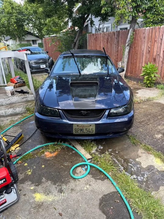 2003 Ford SN95 Mustang - Image 8 of 8