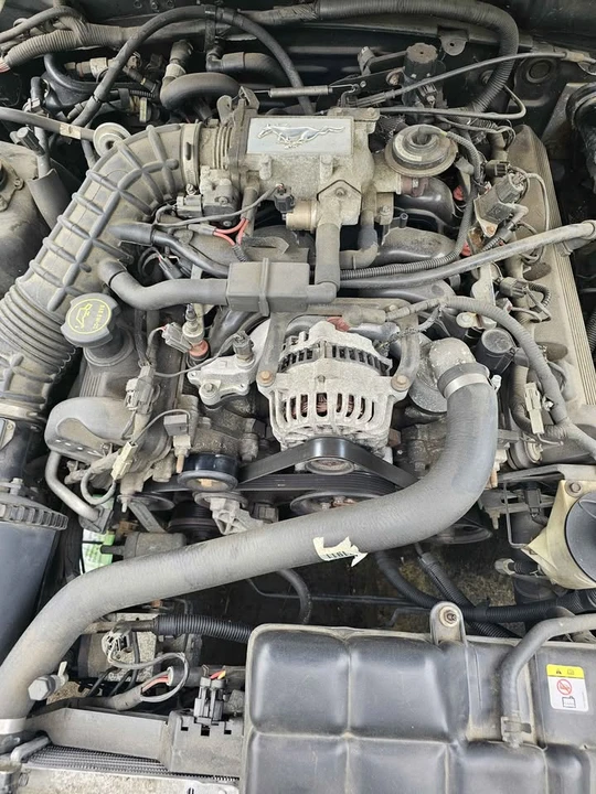 2003 Ford SN95 Mustang - Image 2 of 17