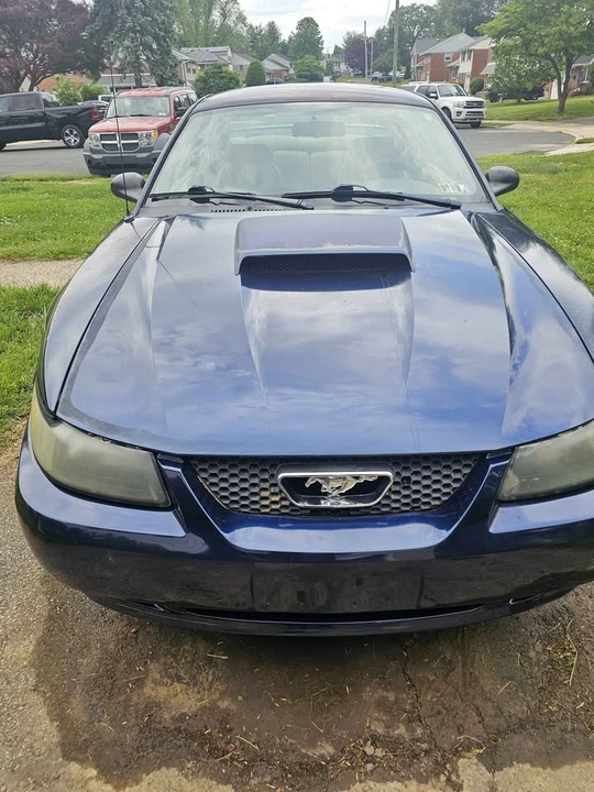 2003 Ford SN95 Mustang - Image 14 of 17
