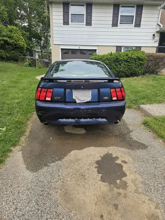 2003 Ford SN95 Mustang - Image 13 of 17