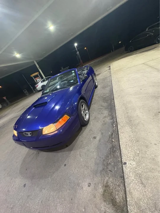 2003 Ford SN95 Mustang - Image 4 of 13