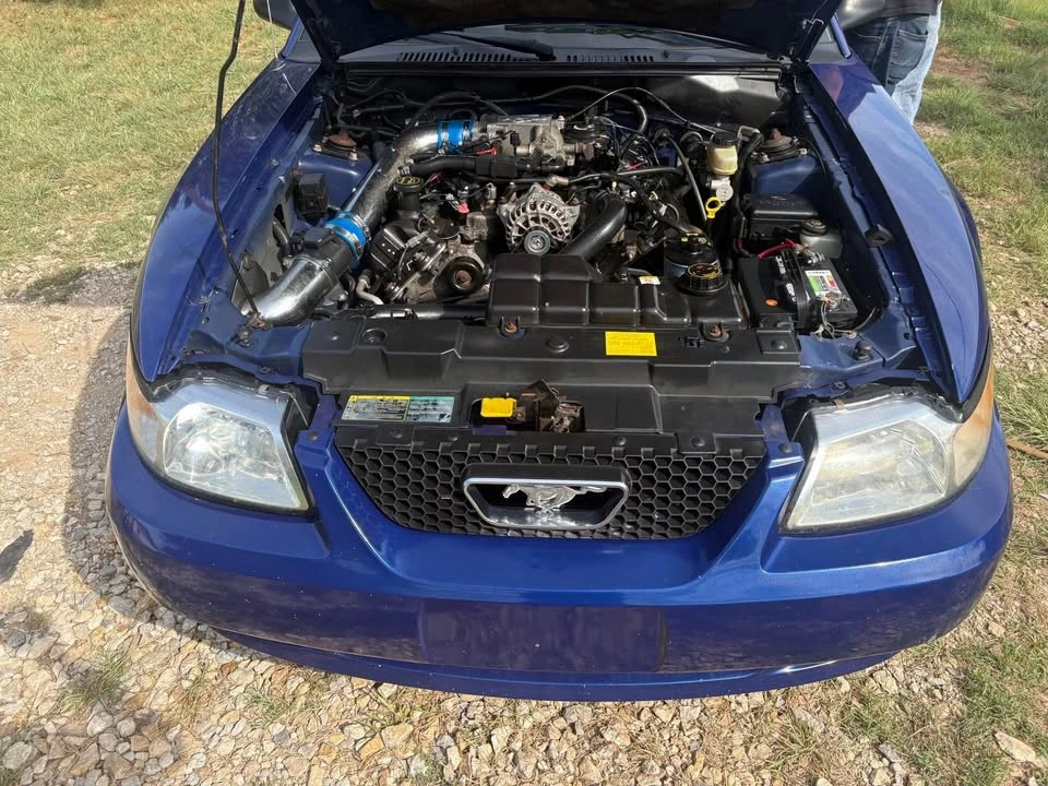 2003 Ford SN95 Mustang - Image 2 of 2