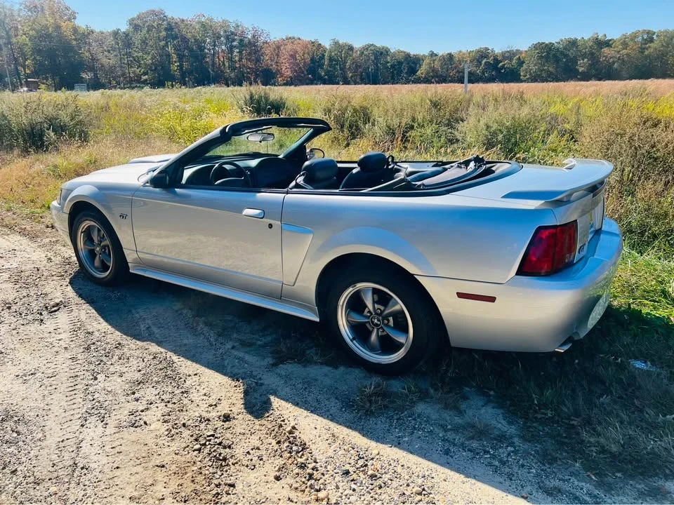 2003 Ford SN95 Mustang - Image 2 of 20