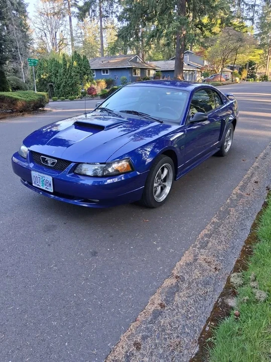 2003 Ford SN95 Mustang - Image 2 of 8