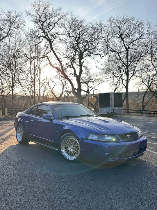 2003 Ford SN95 Mustang - Image 8 of 20
