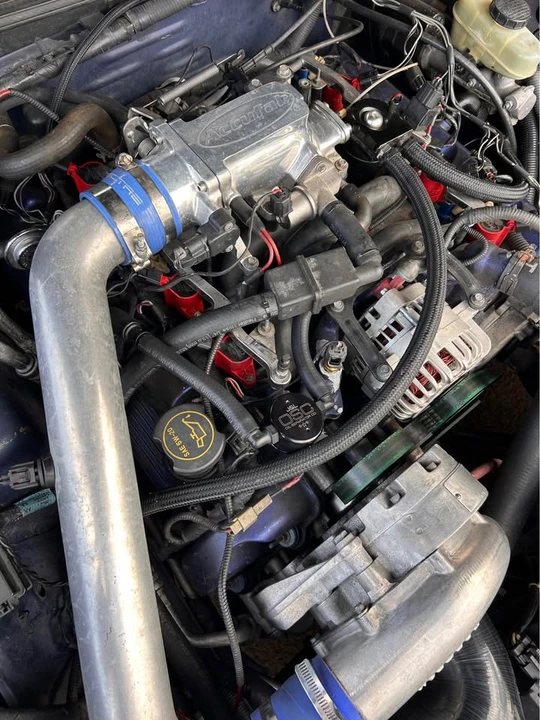2003 Ford SN95 Mustang - Image 3 of 20