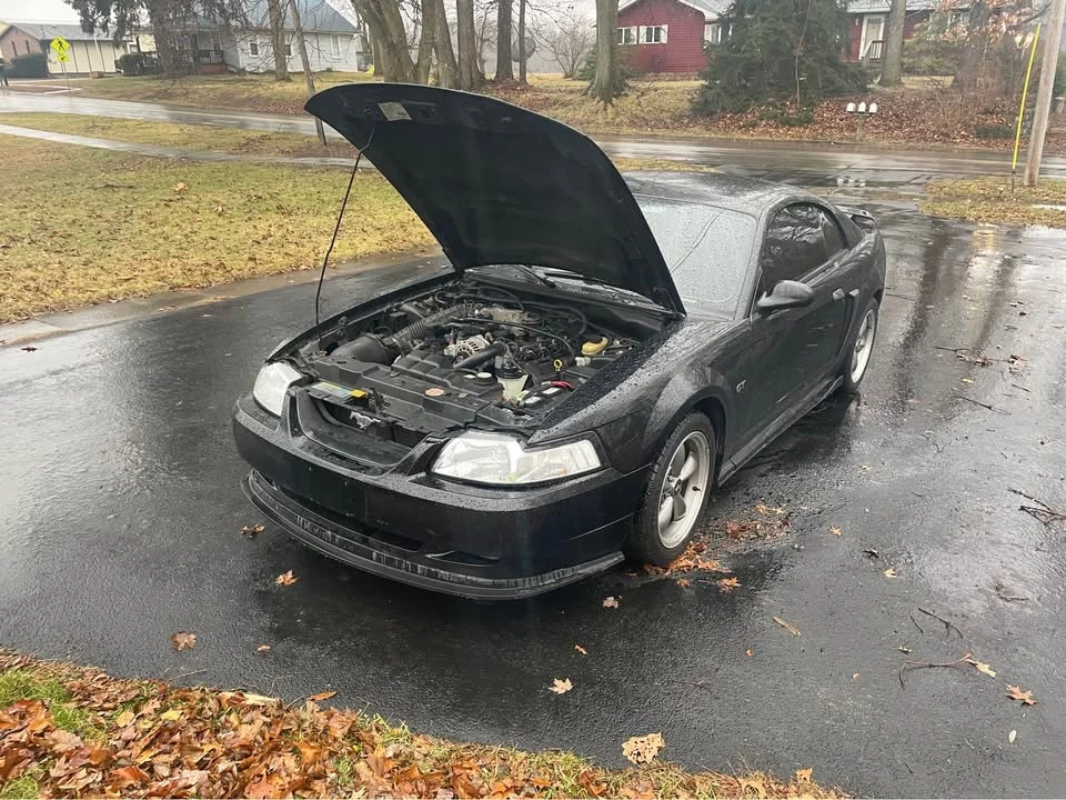 2003 Ford SN95 Mustang - Image 13 of 18