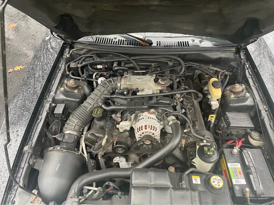2003 Ford SN95 Mustang - Image 12 of 18