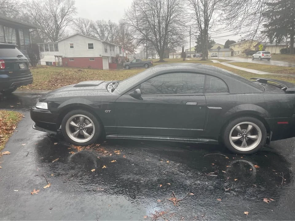 2003 Ford SN95 Mustang - Image 5 of 18