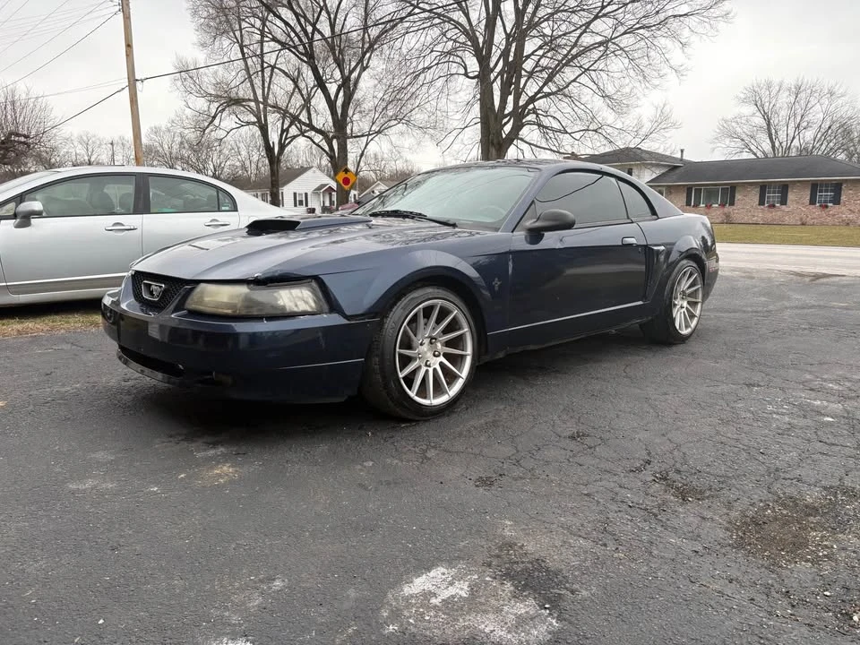 2003 Ford SN95 Mustang - Image 2 of 8