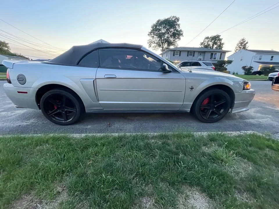 2003 Ford SN95 Mustang - Image 16 of 18