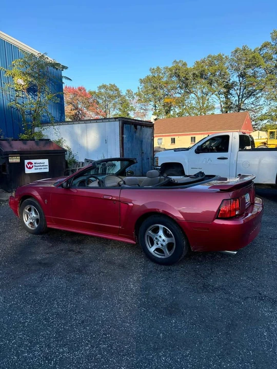 2003 Ford SN95 Mustang - Image 3 of 6