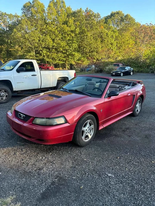 2003 Ford SN95 Mustang - Image 2 of 6