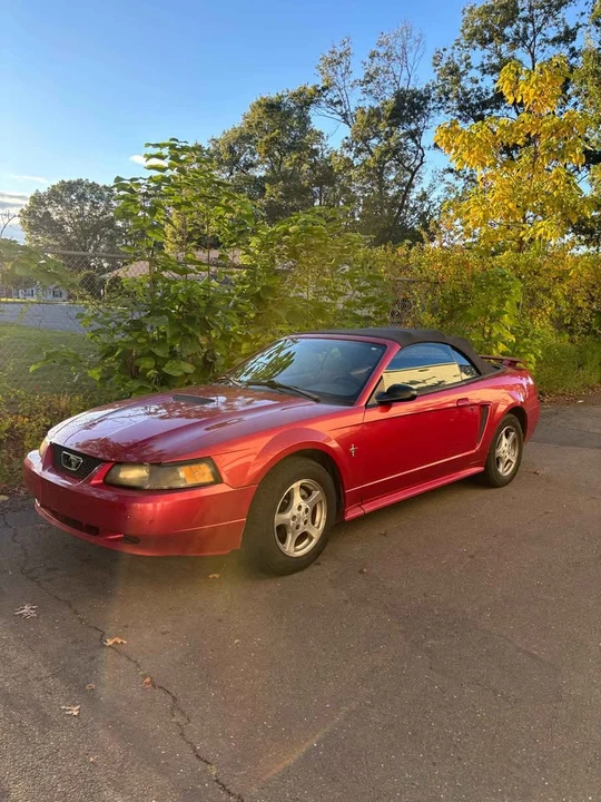 2003 Ford SN95 Mustang - Image 5 of 6