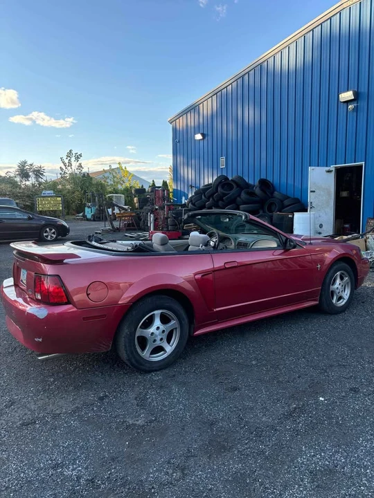 2003 Ford SN95 Mustang - Image 4 of 6