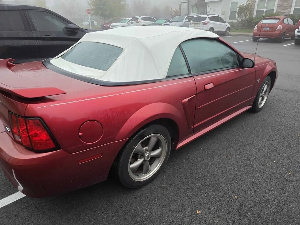 2003 Ford SN95 Mustang - Image 2 of 8