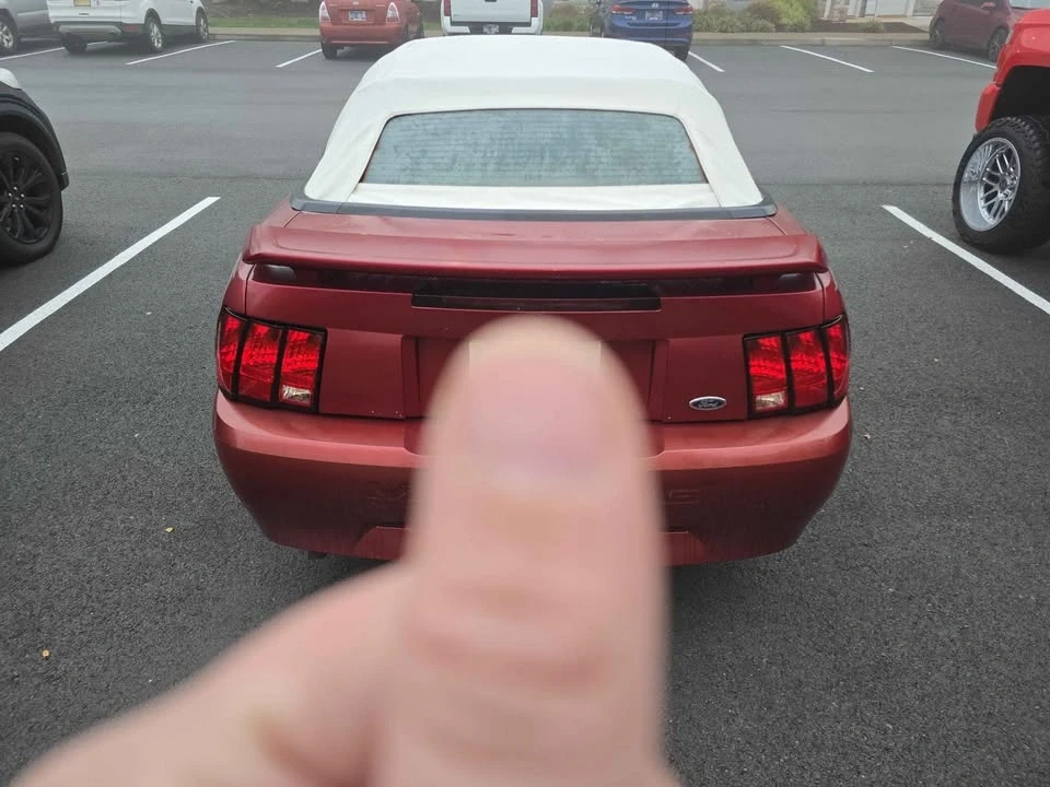 2003 Ford SN95 Mustang - Image 4 of 8