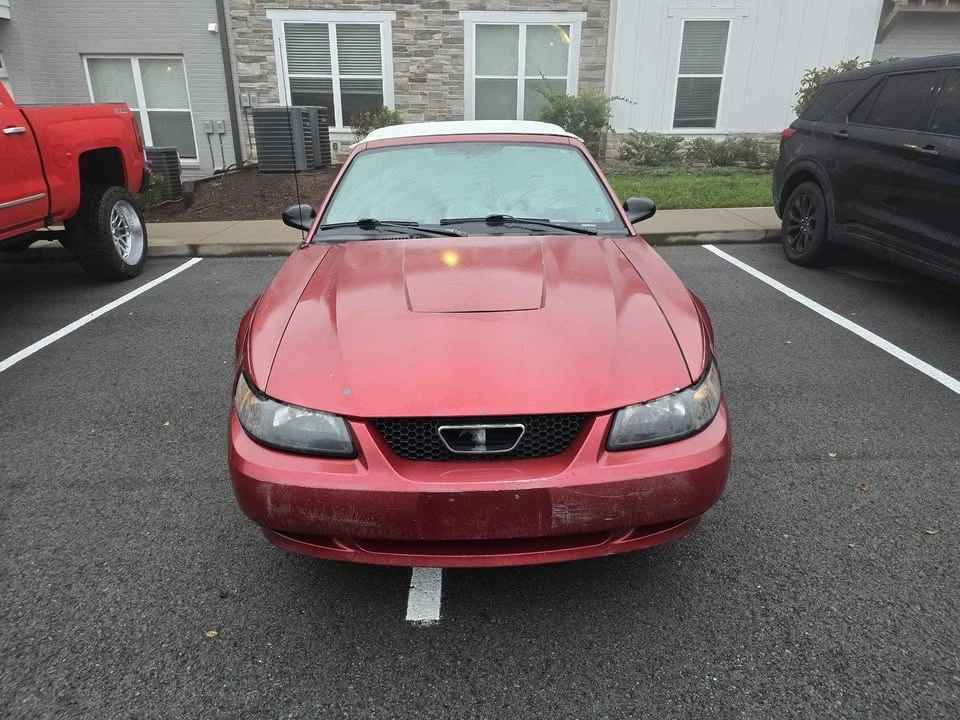 2003 Ford SN95 Mustang - Image 3 of 8
