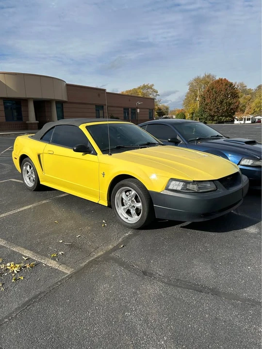 2003 Ford SN95 Mustang - Image 4 of 5
