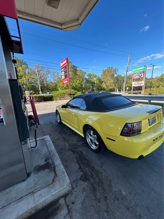 2003 Ford SN95 Mustang - Image 3 of 5