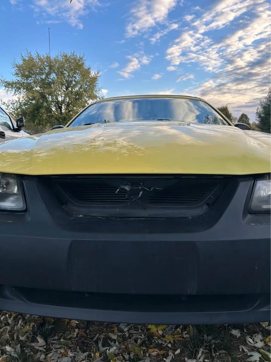 2003 Ford SN95 Mustang - Image 2 of 5