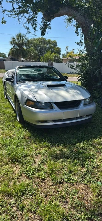 2003 Ford SN95 Mustang - Image 2 of 12