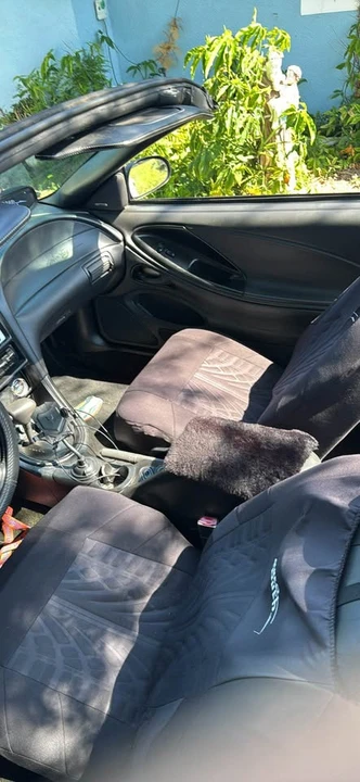 2003 Ford SN95 Mustang - Image 10 of 12