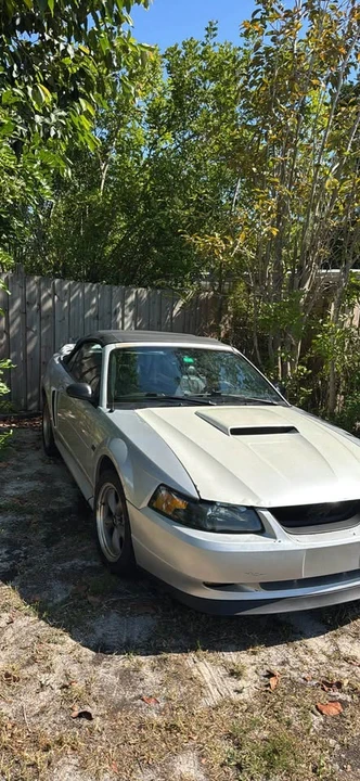 2003 Ford SN95 Mustang - Image 3 of 12