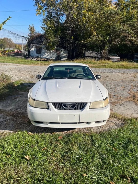 2003 Ford SN95 Mustang - Image 3 of 10