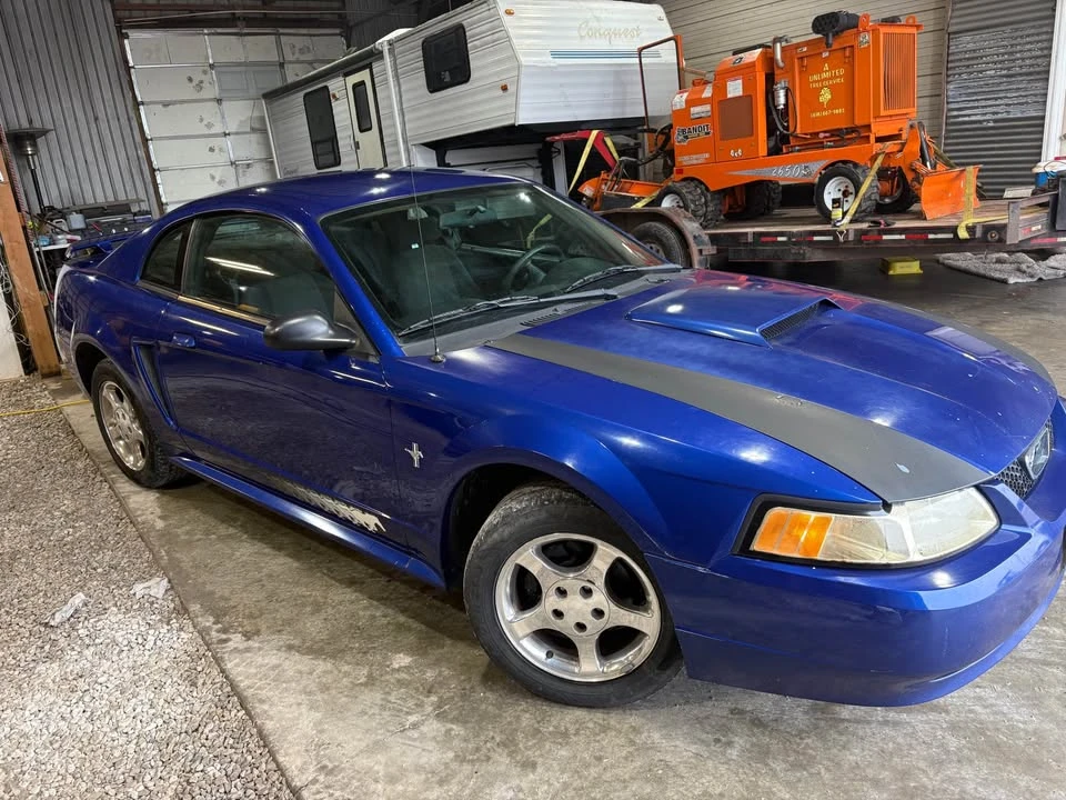 2003 Ford SN95 Mustang - Image 4 of 10