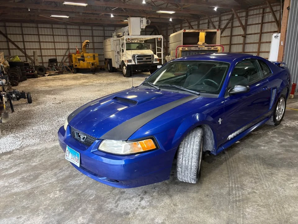 2003 Ford SN95 Mustang - Image 5 of 10