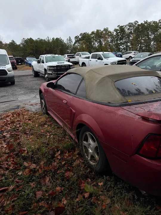 2003 Ford SN95 Mustang - Image 4 of 5
