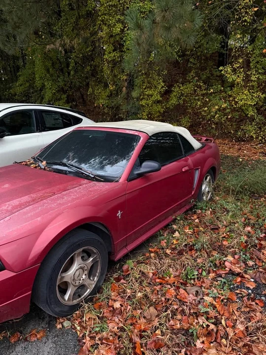 2003 Ford SN95 Mustang - Image 2 of 5