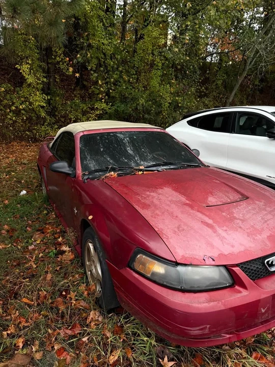 2003 Ford SN95 Mustang - Image 3 of 5