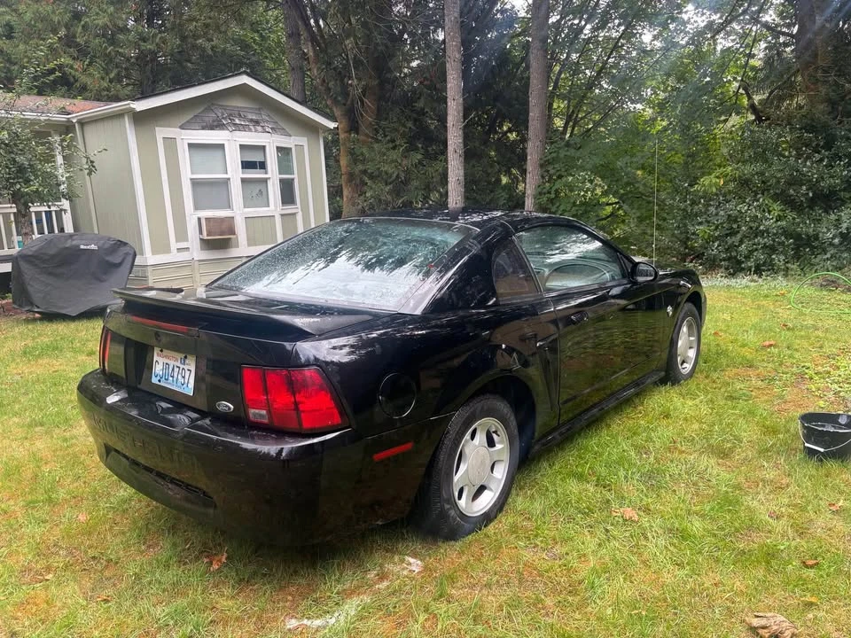 2003 Ford SN95 Mustang - Image 2 of 4