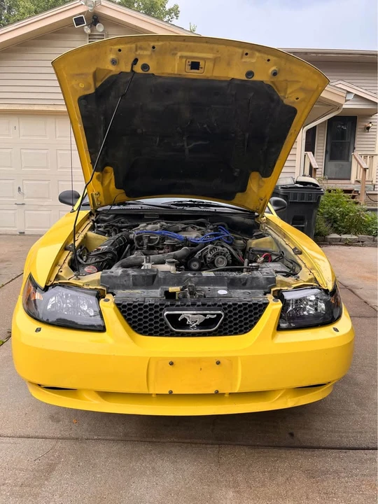 2003 Ford SN95 Mustang - Image 3 of 4