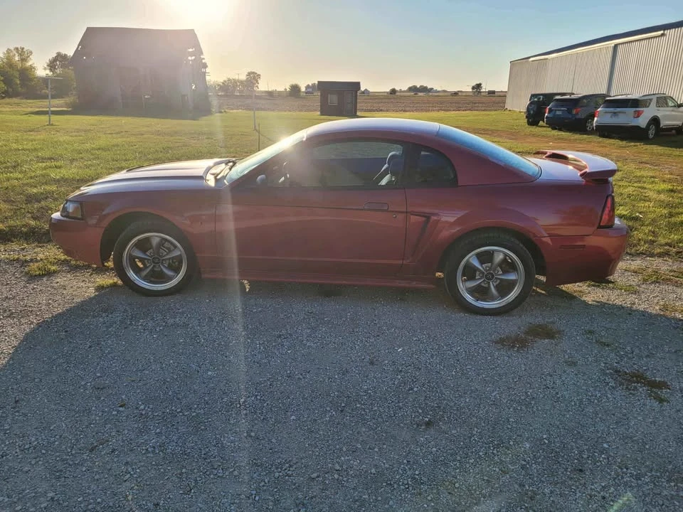 2003 Ford SN95 Mustang - Image 3 of 9