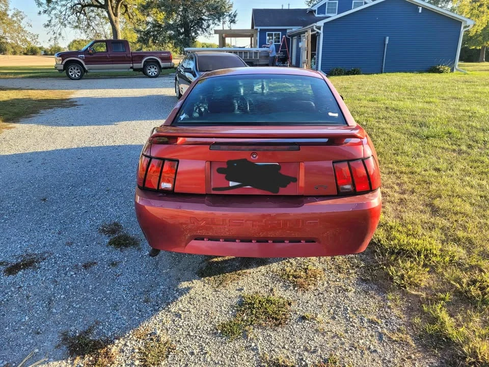 2003 Ford SN95 Mustang - Image 2 of 9