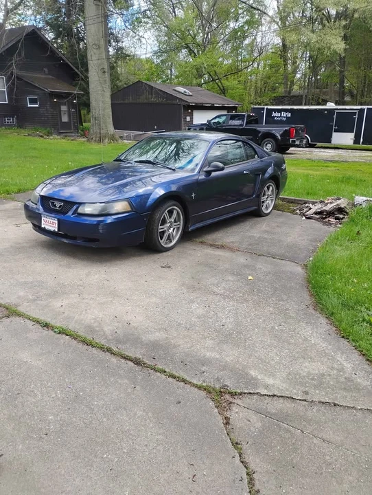 2003 Ford SN95 Mustang - Image 3 of 7