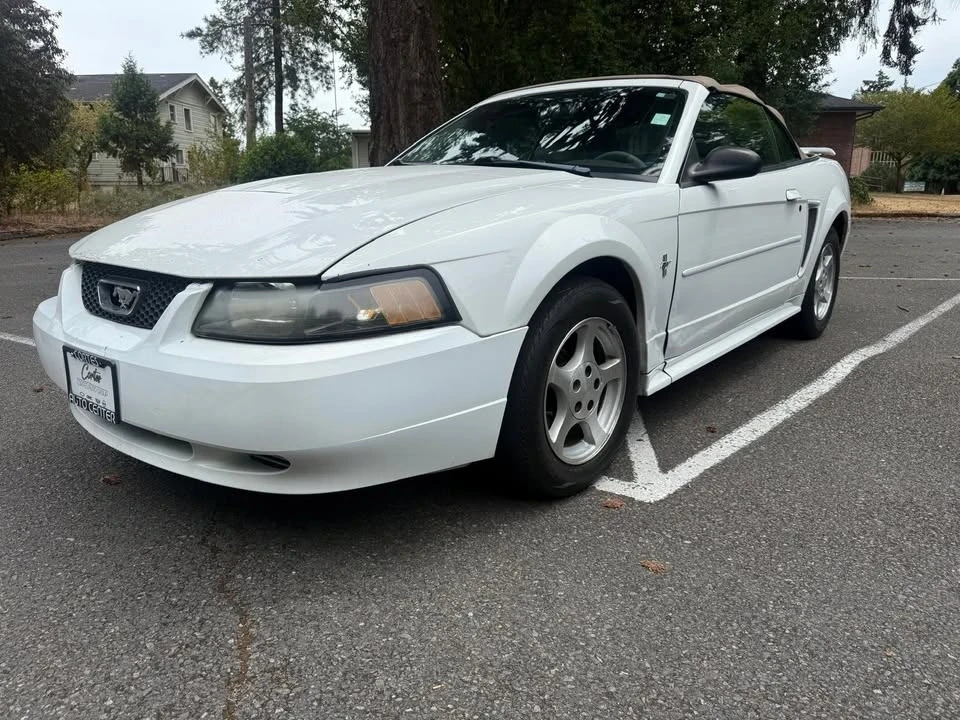 2003 Ford SN95 Mustang - Image 2 of 13