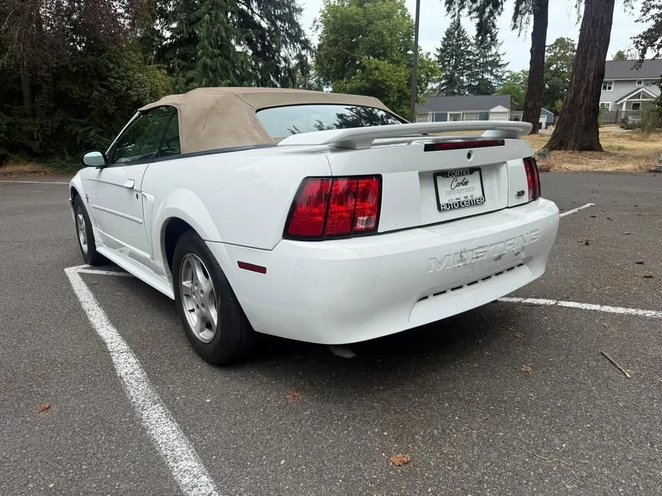 2003 Ford SN95 Mustang - Image 3 of 13