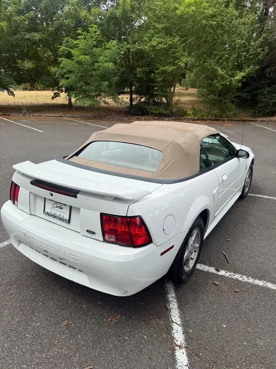 2003 Ford SN95 Mustang - Image 6 of 13