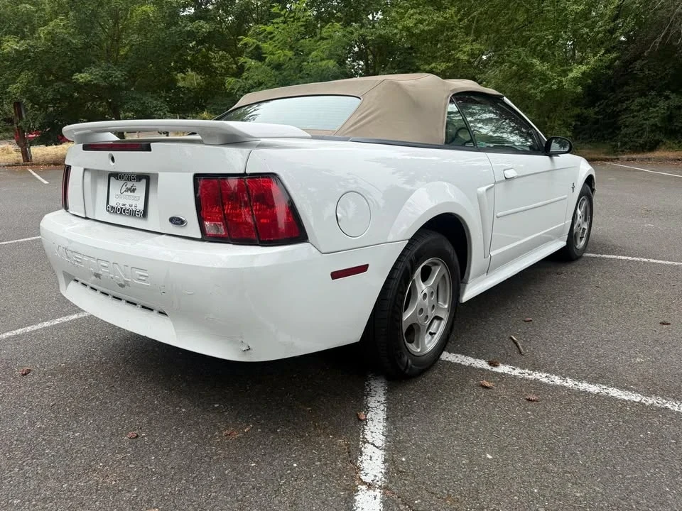 2003 Ford SN95 Mustang - Image 4 of 13
