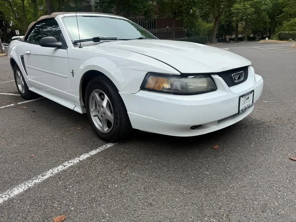 2003 Ford SN95 Mustang - Image 5 of 13